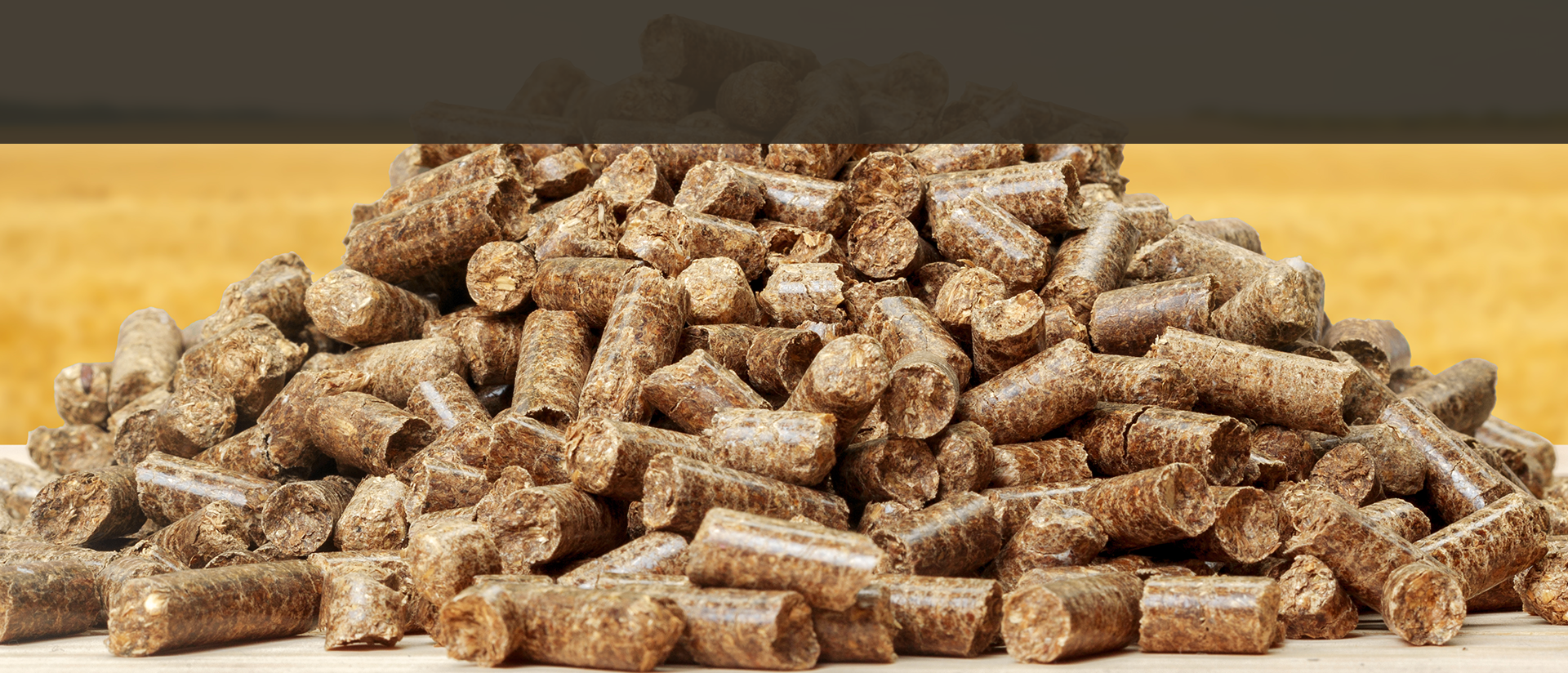 AKČNÍ NABÍDKY DŘEVĚNÝCH BRIKET